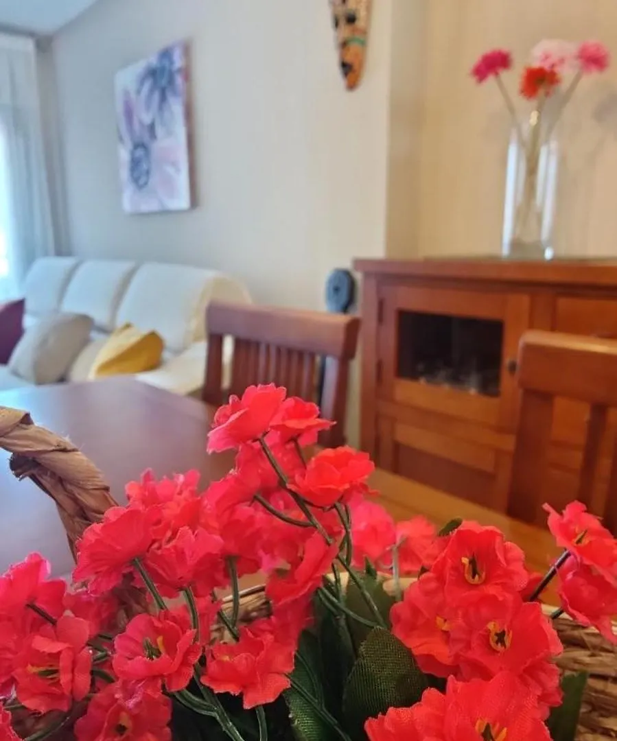 Apartamento Ca L'Esmolet Tremp